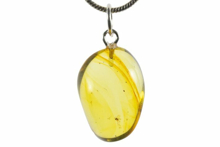 Polished Baltic Amber Pendant (Necklace) - Contains Flies! #339535